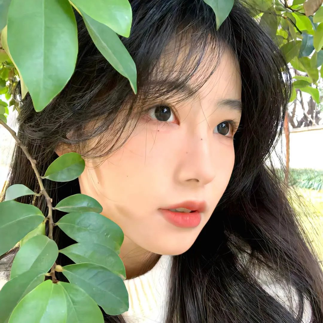 亲爱的大笨象
