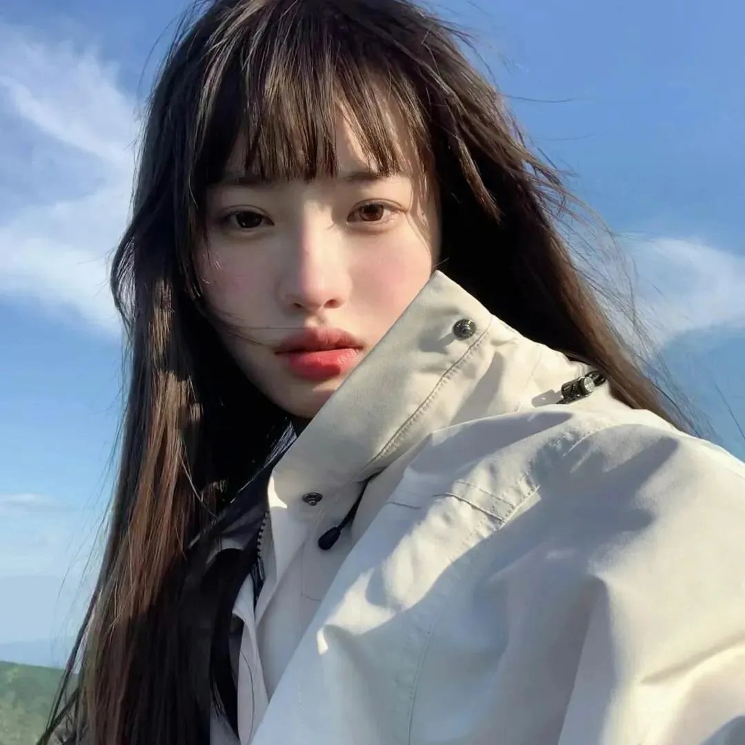 森林之北